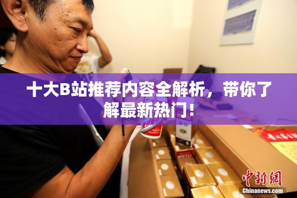 十大B站推荐内容全解析，带你了解最新热门！
