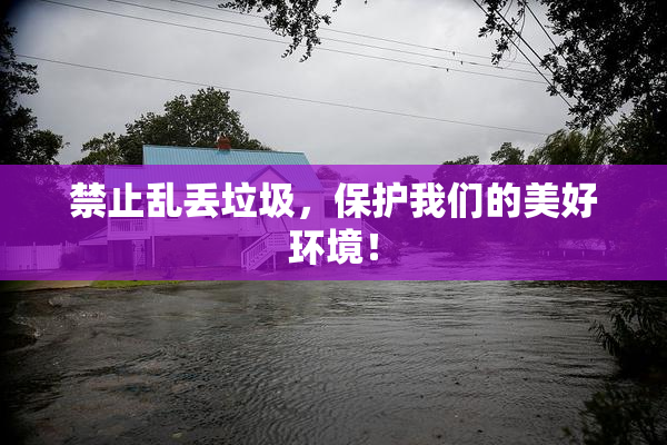 禁止乱丢垃圾，保护我们的美好环境！