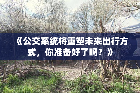 《公交系统将重塑未来出行方式，你准备好了吗？》