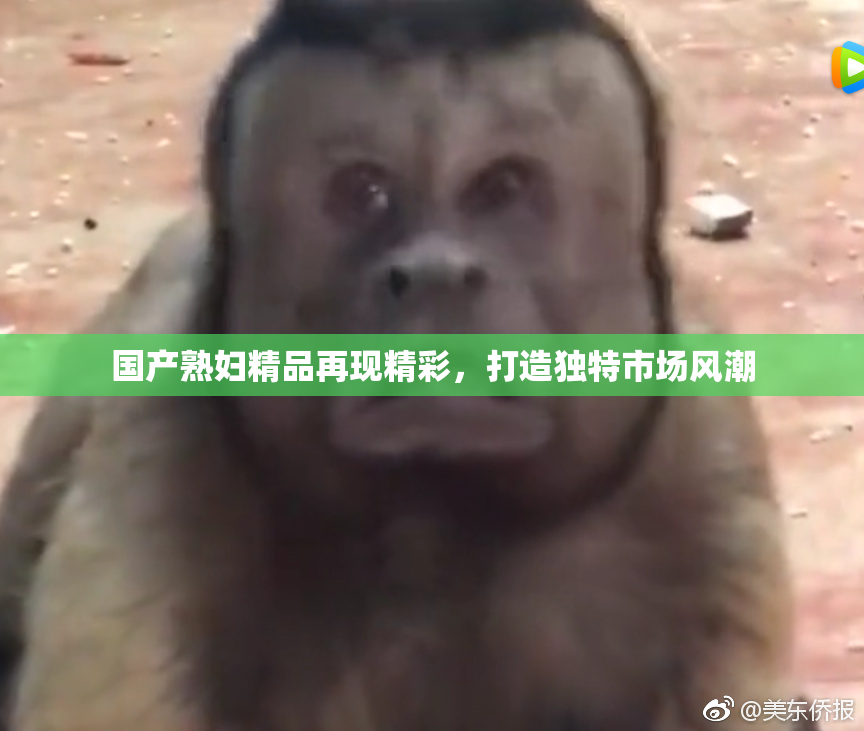 国产熟妇精品再现精彩，打造独特市场风潮