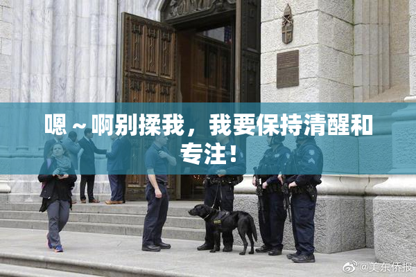 嗯～啊别揉我，我要保持清醒和专注！