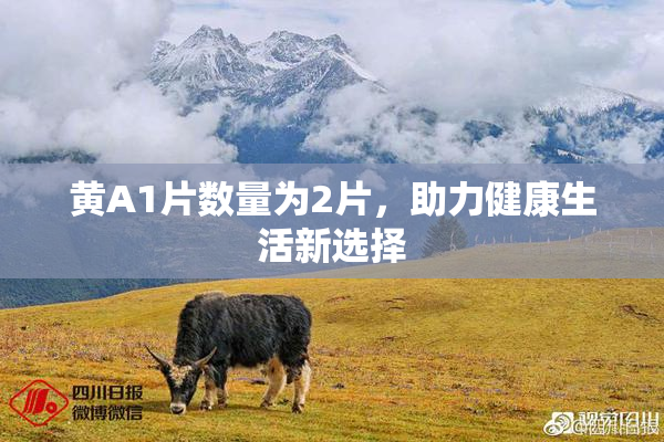 黄A1片数量为2片，助力健康生活新选择