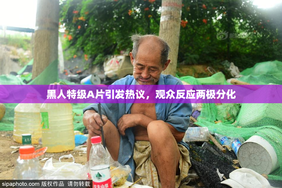 黑人特级A片引发热议，观众反应两极分化