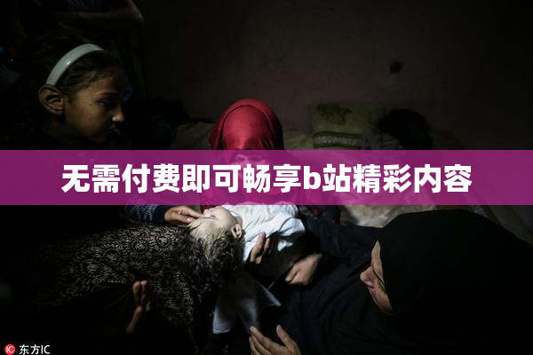 无需付费即可畅享b站精彩内容