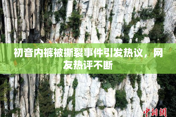 初音内裤被撕裂事件引发热议，网友热评不断