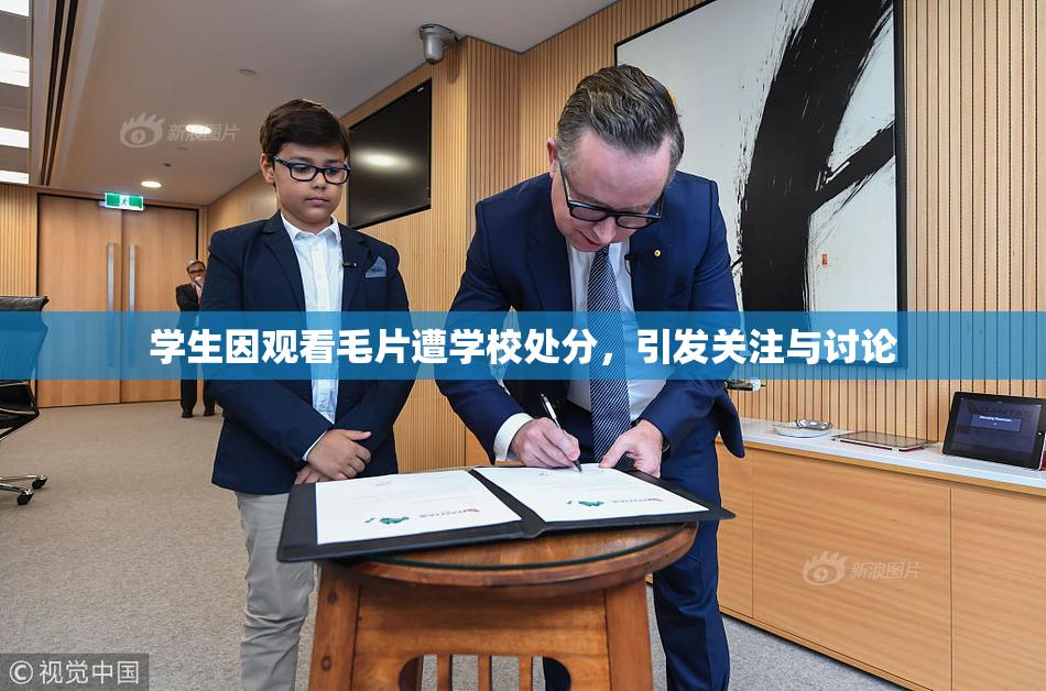 学生因观看毛片遭学校处分，引发关注与讨论