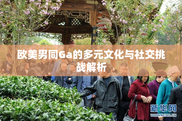 欧美男同Ga的多元文化与社交挑战解析