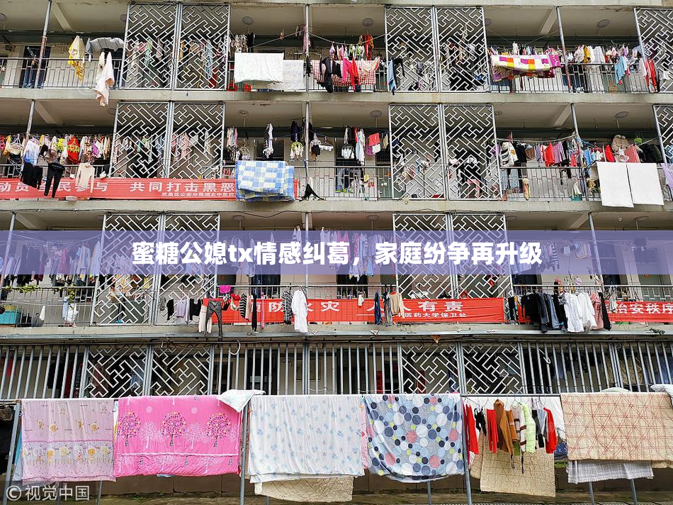 蜜糖公媳tx情感纠葛，家庭纷争再升级