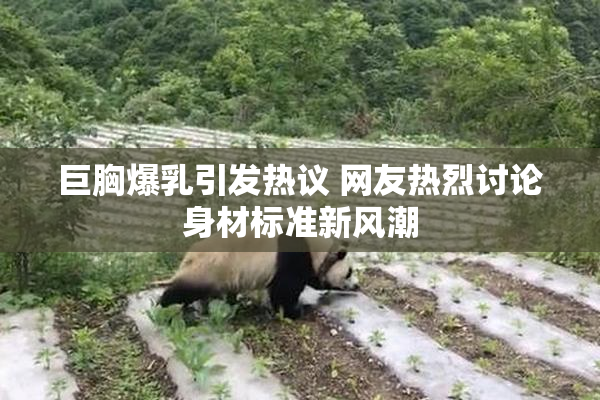 巨胸爆乳引发热议 网友热烈讨论身材标准新风潮