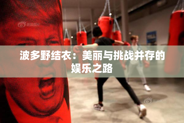 波多野结衣：美丽与挑战并存的娱乐之路