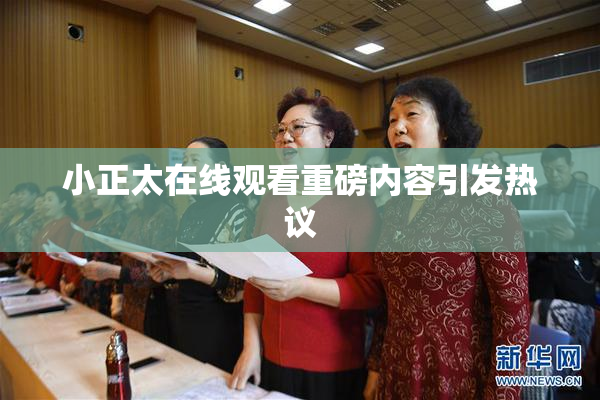 小正太在线观看重磅内容引发热议