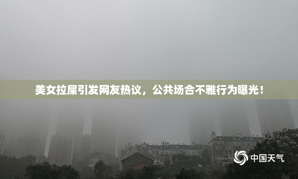美女拉屎引发网友热议，公共场合不雅行为曝光！