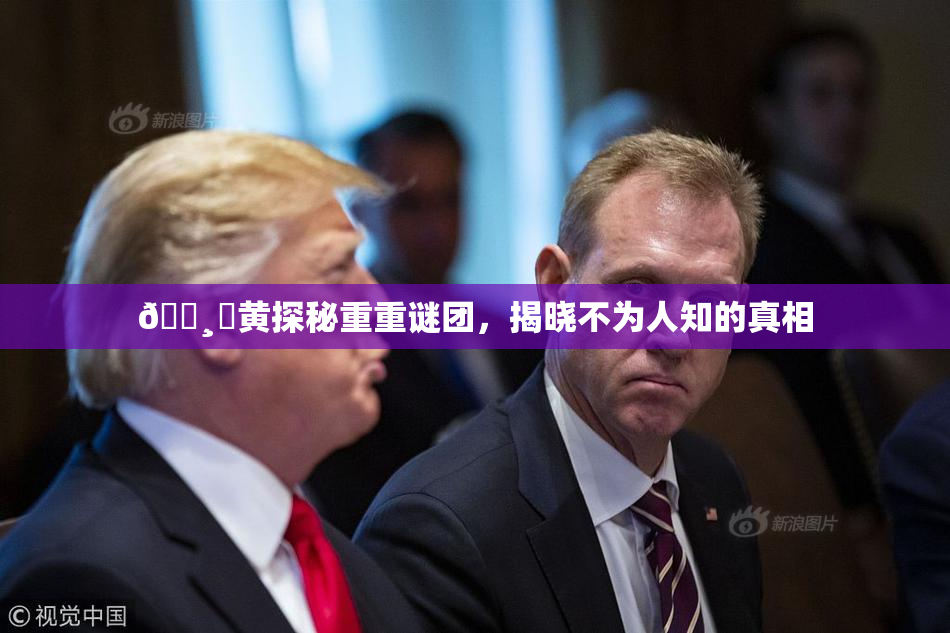 🌸‌黄探秘重重谜团，揭晓不为人知的真相