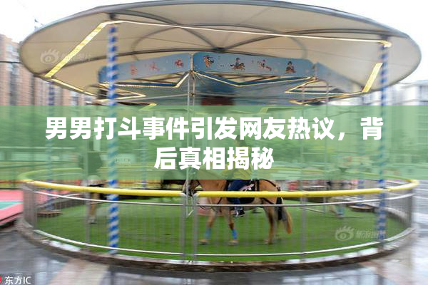 男男打斗事件引发网友热议，背后真相揭秘