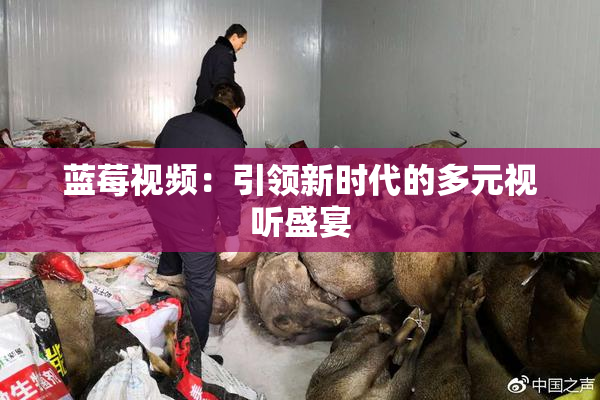 蓝莓视频：引领新时代的多元视听盛宴