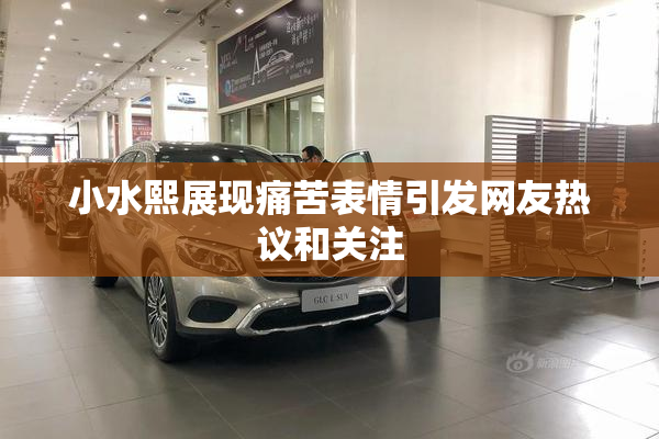 小水熙展现痛苦表情引发网友热议和关注