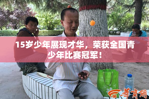 15岁少年展现才华，荣获全国青少年比赛冠军！