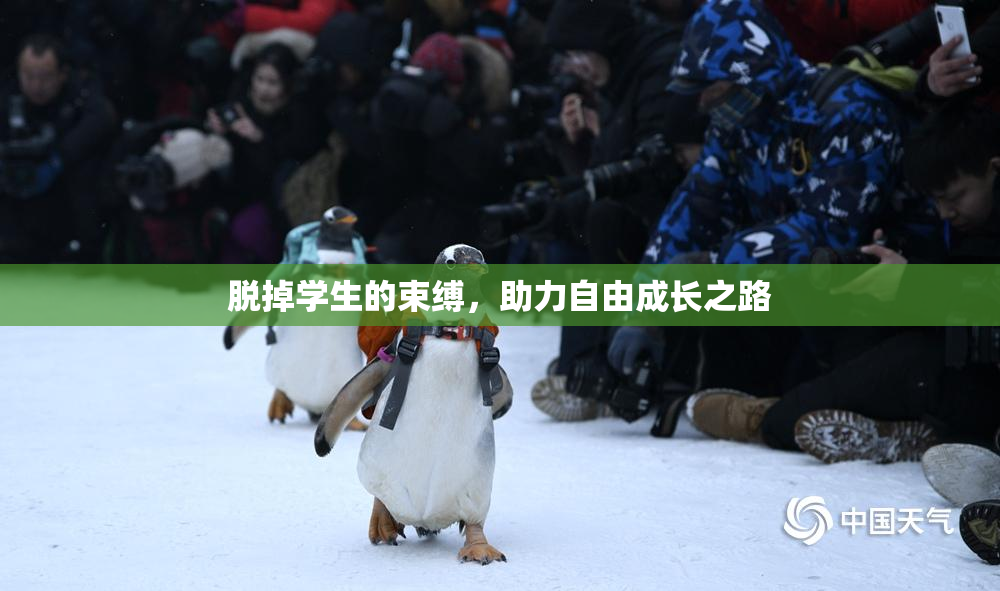 脱掉学生的束缚，助力自由成长之路