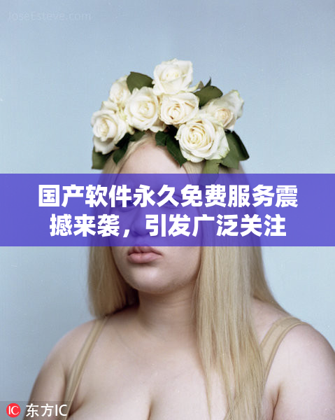 国产软件永久免费服务震撼来袭，引发广泛关注