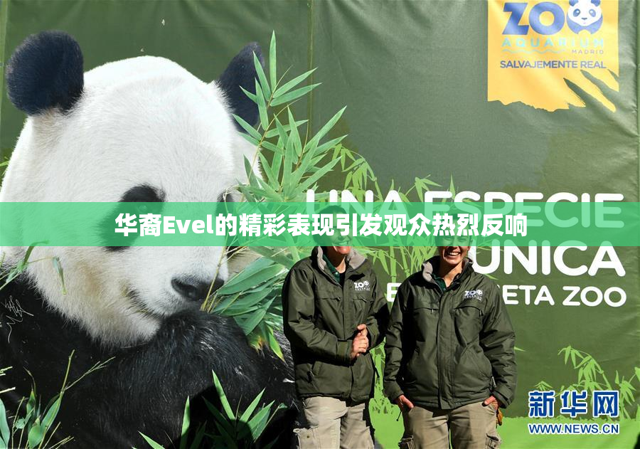 华裔Evel的精彩表现引发观众热烈反响