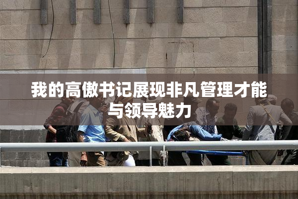 我的高傲书记展现非凡管理才能与领导魅力