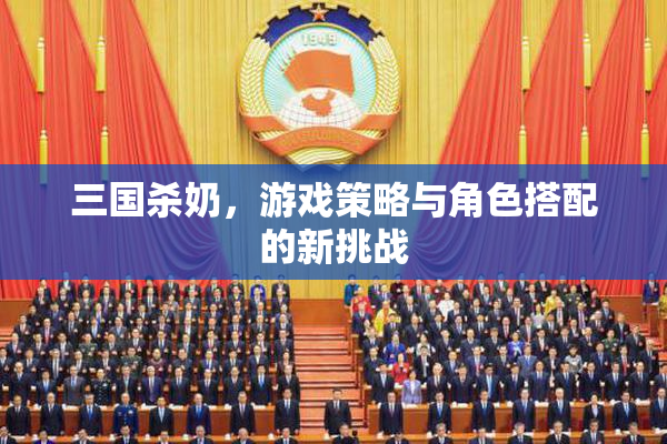 三国杀奶，游戏策略与角色搭配的新挑战
