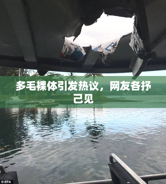 多毛裸体引发热议，网友各抒己见