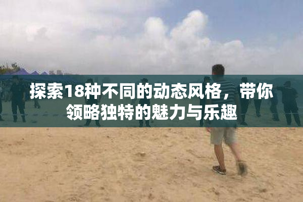 探索18种不同的动态风格，带你领略独特的魅力与乐趣