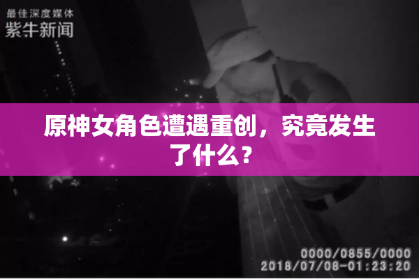 原神女角色遭遇重创，究竟发生了什么？