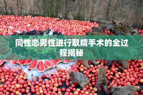 同性恋男性进行取精手术的全过程揭秘