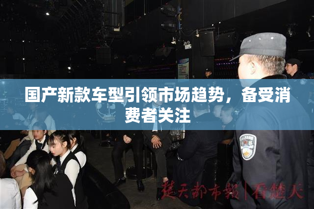 国产新款车型引领市场趋势，备受消费者关注