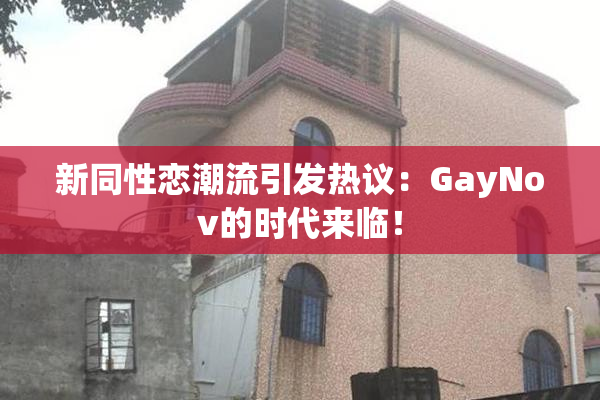 新同性恋潮流引发热议：GayNov的时代来临！