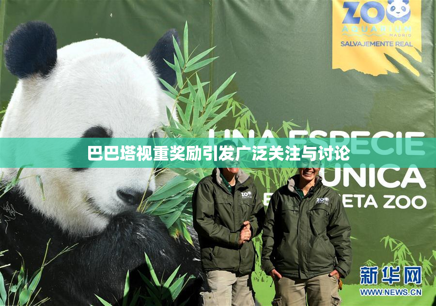 巴巴塔视重奖励引发广泛关注与讨论
