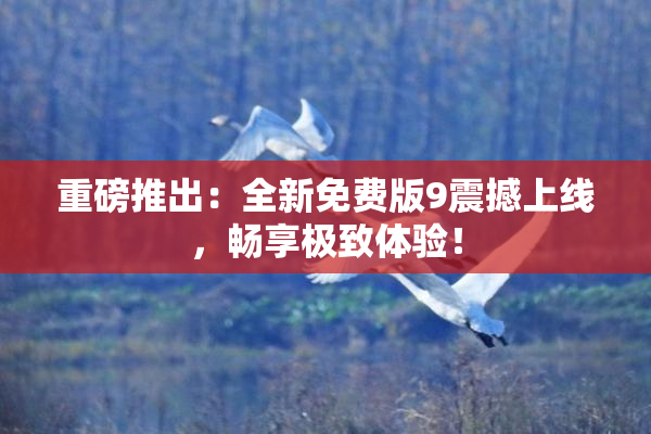 重磅推出：全新免费版9震撼上线，畅享极致体验！