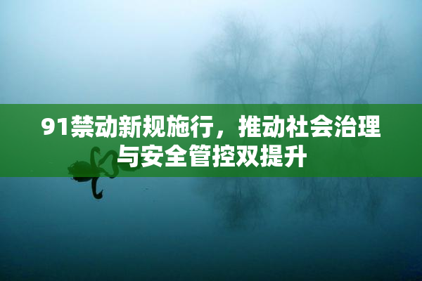 91禁动新规施行，推动社会治理与安全管控双提升