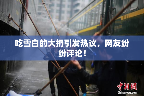 吃雪白的大扔引发热议，网友纷纷评论！