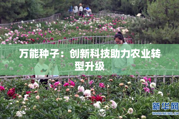 万能种子：创新科技助力农业转型升级