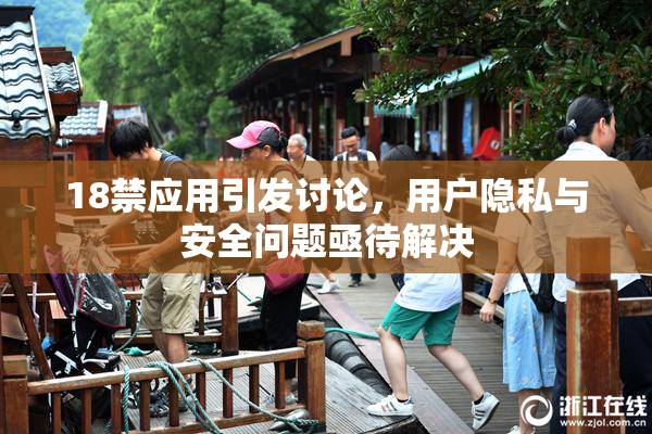 18禁应用引发讨论，用户隐私与安全问题亟待解决