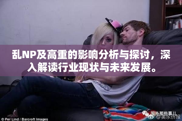 乱NP及高重的影响分析与探讨，深入解读行业现状与未来发展。