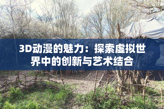 3D动漫的魅力：探索虚拟世界中的创新与艺术结合