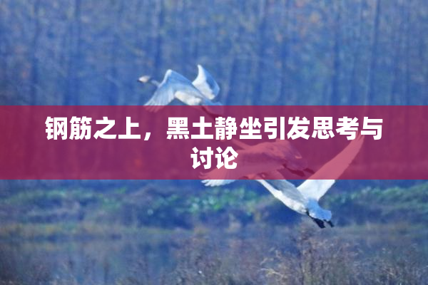 钢筋之上，黑土静坐引发思考与讨论