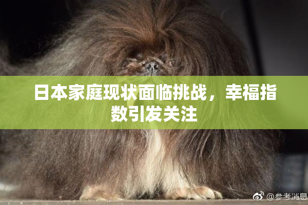 日本家庭现状面临挑战，幸福指数引发关注