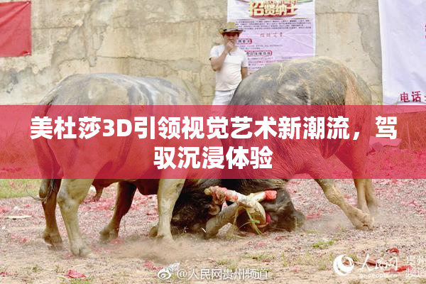 美杜莎3D引领视觉艺术新潮流，驾驭沉浸体验