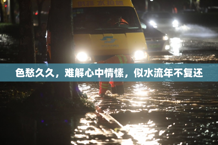 色愁久久，难解心中情愫，似水流年不复还
