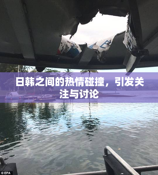 日韩之间的热情碰撞，引发关注与讨论