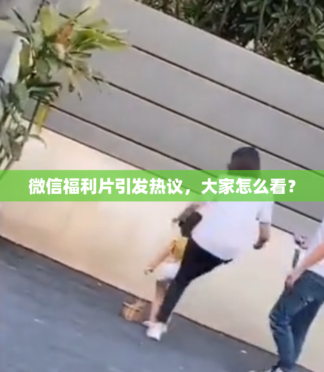 微信福利片引发热议，大家怎么看？