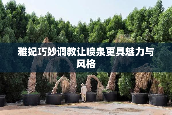 雅妃巧妙调教让喷泉更具魅力与风格