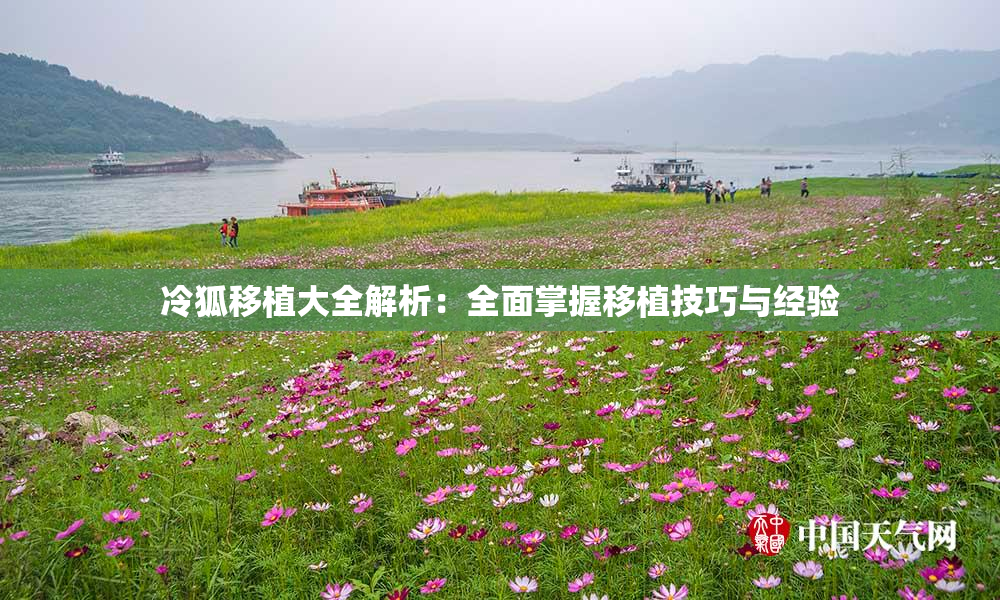 冷狐移植大全解析：全面掌握移植技巧与经验