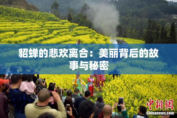貂蝉的悲欢离合：美丽背后的故事与秘密
