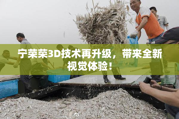 宁荣荣3D技术再升级，带来全新视觉体验！
